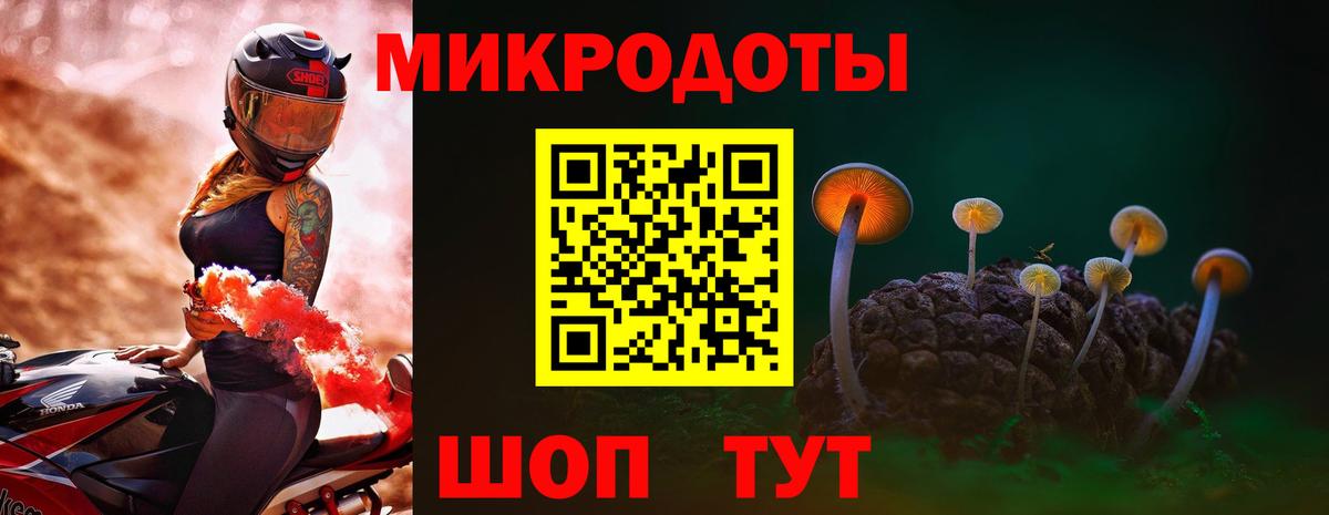 Сосновоборск  Галлюциногенные грибы прущие грибы  Вход с VPN 